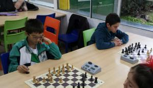 campeonato de ajedrez por colegios. Club de ajedrez blanco y negro.